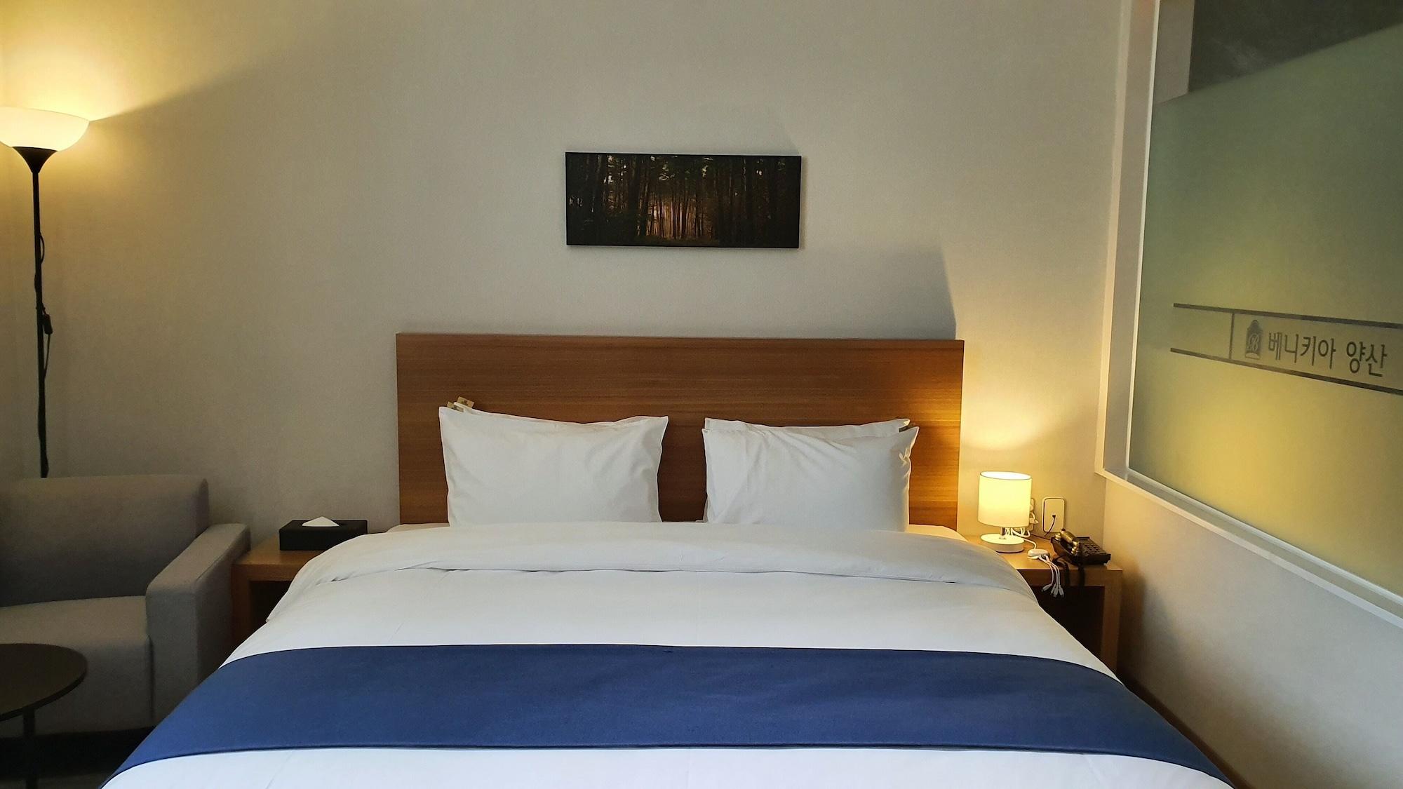 Benikea Hotel Yangsan Екстер'єр фото