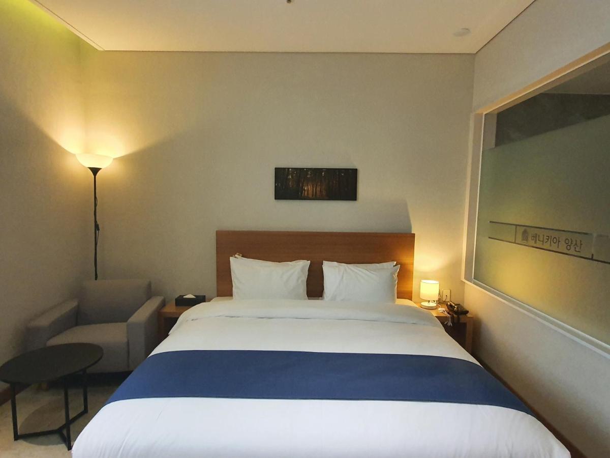 Benikea Hotel Yangsan Екстер'єр фото